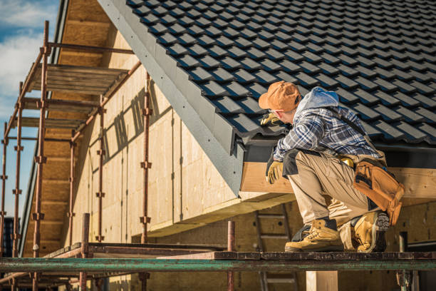 Best Shingle Roofing Installation  in Webster, SD
