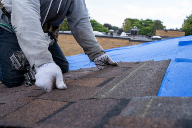 Best Roof Leak Repair  in Webster, SD