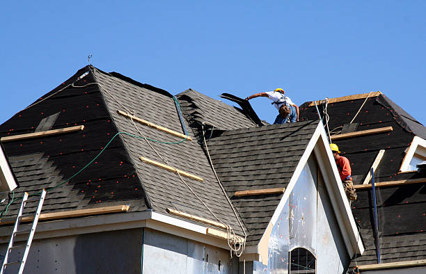 Best New Roof Installation  in Webster, SD