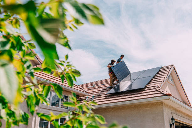 Best Local Roofing Companies  in Webster, SD