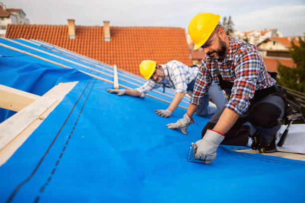 Best Roof Waterproofing Services  in Webster, SD